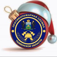 Противопожарная служба ТО