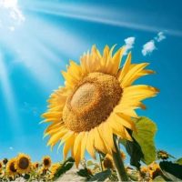 МБДОУ д/с№21пос.Мирный