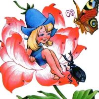 МКДОУ Введенский детский сад "Дюймовочка"