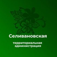 Селивановская территориальная администрация