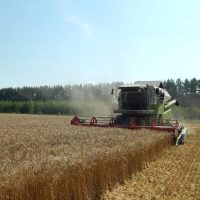 Отдел сельского хозяйства муниципального округа г. Первомайск