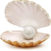 ДОУ "Жемчужинка"