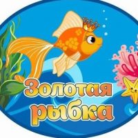 МАДОУ детский сад "Золотая рыбка"