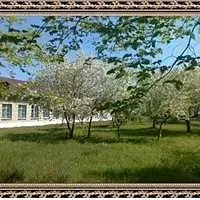 МКОУ "Курмановская СОШ"