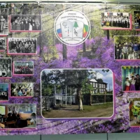 МОУ СОШ № 2 пгт.Новокручининский