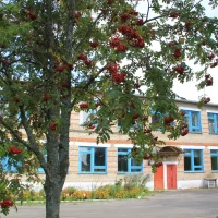 МКОУ "Бережковская ООШ"