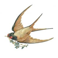 Детский сад «Ласточка»