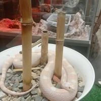 "Зооэкзотариум" г.Ставрополь