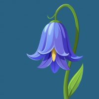 Детский сад Колокольчик 🌸