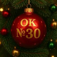 Образовательный комплекс № 30 г. Ярославль