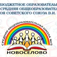 ШКОЛЬНЫЕ ГРАНИ Новоселовской СОШ №5