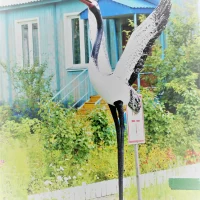 МБДОУ детский сад «Журавушка»