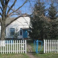 МБОУ "Ольшанская ООШ" Льговского района Курской области