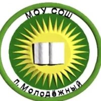 Канал МОУ сош го Молодёжный