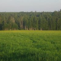 Администрация Катарбейского МО