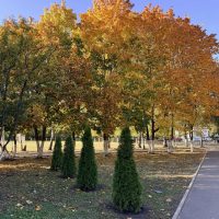 МБОУ СОШ №63 г.Пензы