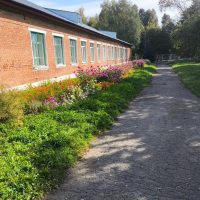 МКОУ "Двориковская СОШ"