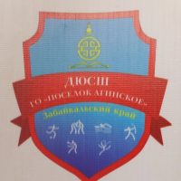 Муниципальное учреждение дополнительного образования "Детско-юношеская спортивная школа" городского округа "Поселок Агинское"