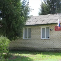 ОБОУ ДО "Касторенская ДШИ"