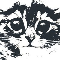 ИЗНАНКА ОТРАДНЫЙ