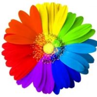 МБДОУ детский сад №123 г. Пензы "Семицветик"