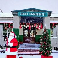 Муниципальное бюджетное общеобразовательное учреждение Быркинская средняя общеобразовательная школа.