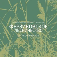 ГКУ КО "Ферзиковское лесничество"