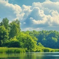 Администрация Чеботарихинского сельского поселения