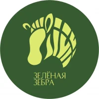 Зеленая Зебра официальный канал