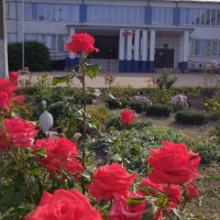 МКОУ "Бобрышевская СОШ"