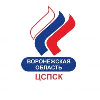 СПОРТ в Воронеже: команды, результаты