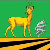 Управление финансов Администрации Медвенского района Курской области