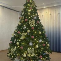 ГБДОУ « Детский сад №2» Севастополь