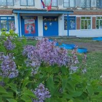 МОУ "СОШ п. Новозаволжский"