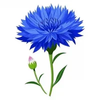 МДОУ детский сад "Василек"