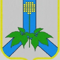 Управление финансов Дальнереченского муниципального округа