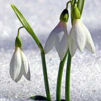 Детский сад № 63 г. Нижнекамск