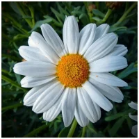 ГБУЗ "БРЯНКОВСКИЙ ПРОТИВОТУБЕРКУЛЕЗНЫЙ ДИСПАНСЕР" ЛНР