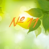 МБОУ ООШ 11П.НОВОБЕРЕЗОВКА