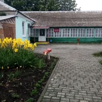 МБДОУ детский сад "Тополек"