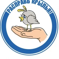 Центр постинтернатного сопровождения "Расправь крылья!"