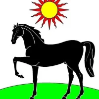 Администрация Целинского сельского поселения