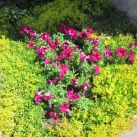 Канал МБДОУ "Детский сад общеразвивающего вида № 151"