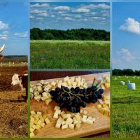 Комитет АПК