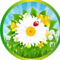 МБДОУ "Детский сад "Ромашка", г. Алдан