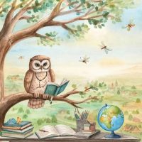 МБОУ "ПЛАТОВО-ИВАНОВСКАЯ ООШ"