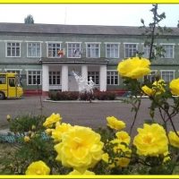 МБОУ СОШ № 84 п. Сеятель