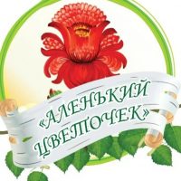 МБДОУ "Д/С № 18 "АЛЕНЬКИЙ ЦВЕТОЧЕК" Г. АЛЬМЕТЬЕВСКА