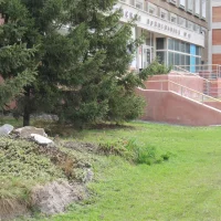 БУЗОО «ГП 13»