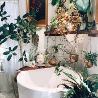 Домашние джунгли